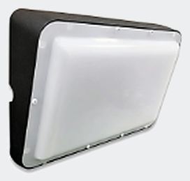 SSR-P50-CS